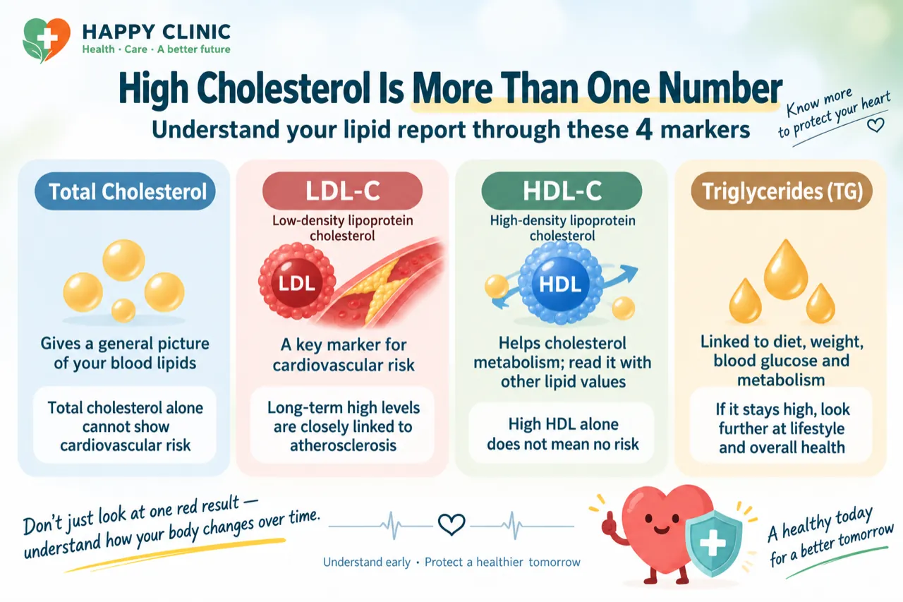 Explanation of the four markers on a cholesterol lipid report: total cholesterol, LDL, HDL and triglycerides