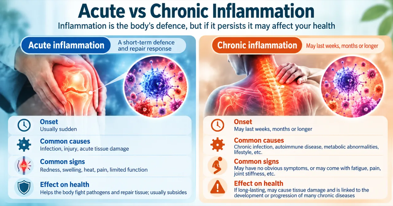 Comparison of acute and chronic inflammation: onset, common causes, common signs and effect on health