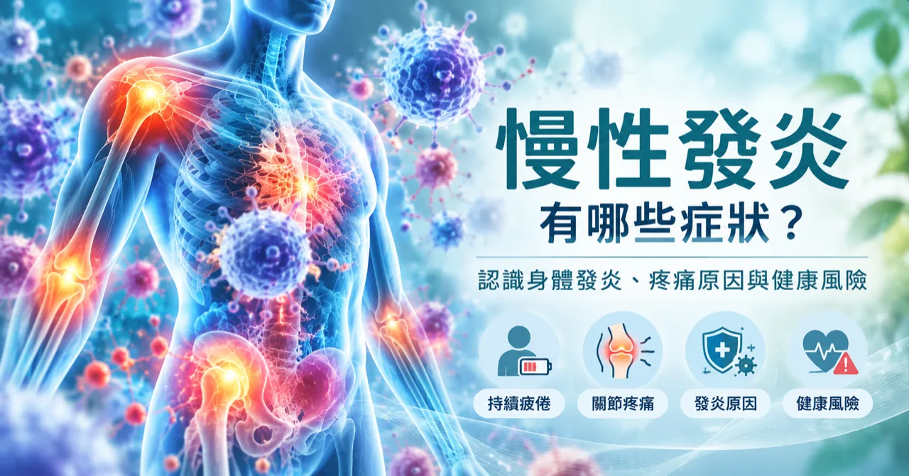 人體免疫系統與發炎反應示意圖，說明慢性發炎可能與疼痛及健康風險有關。