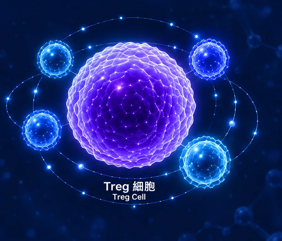 Treg 調節型 T 細胞檢測