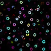 Composite Image