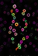 合併影像(Merge)